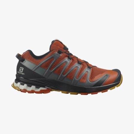 Scarpe Trail Running Salomon XA PRO 3D v8 Uomo Arancioni IT 6-L25